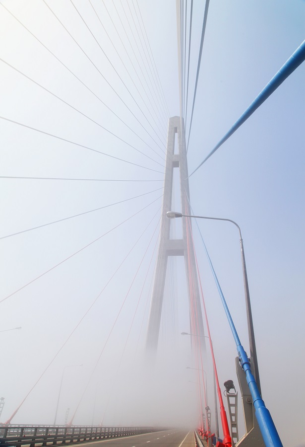 Фотография - Мост в тумане, автор - selezenj