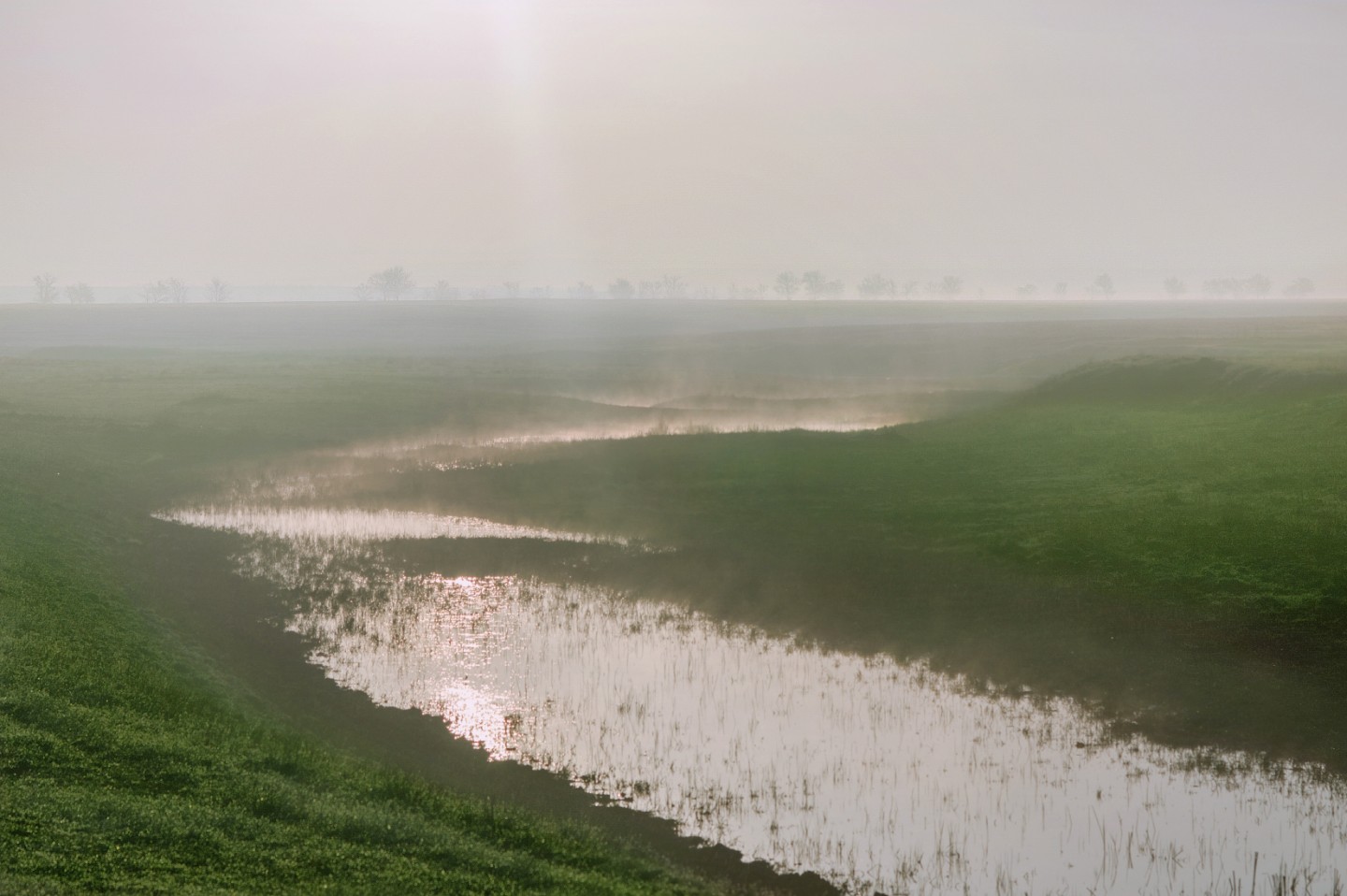 Фотография - Утро, остатки тумана, автор - Белянский Александр