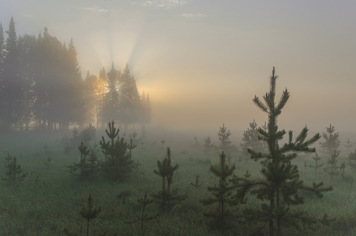 Фотография -                   Туманное утро, автор - Валентин Котляров
