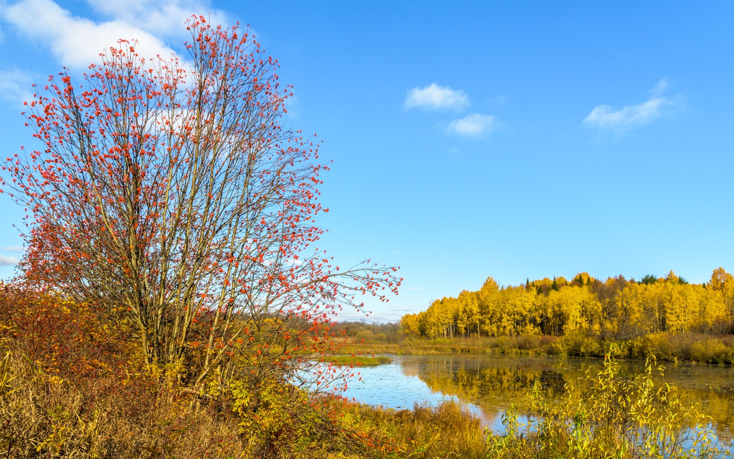 Фотография - Осень в начале октября, автор - Валентин Котляров