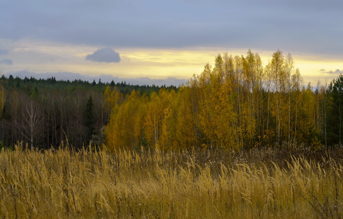 Фотография - Осенний вечер, автор - Валентин Котляров