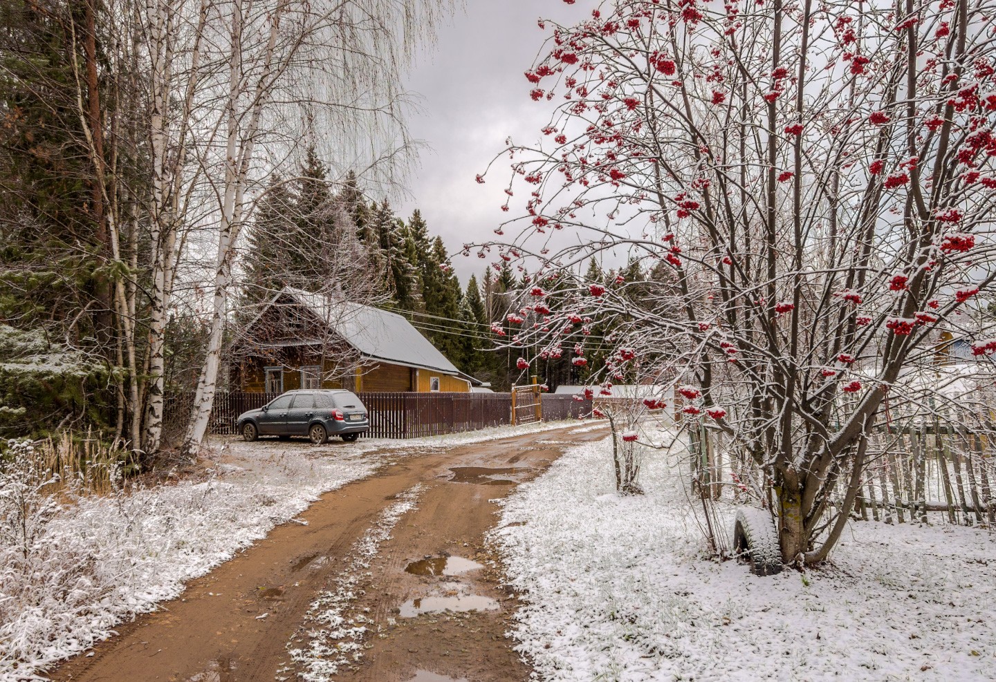Фотография - Первый визит зимы, автор - Валентин Котляров
