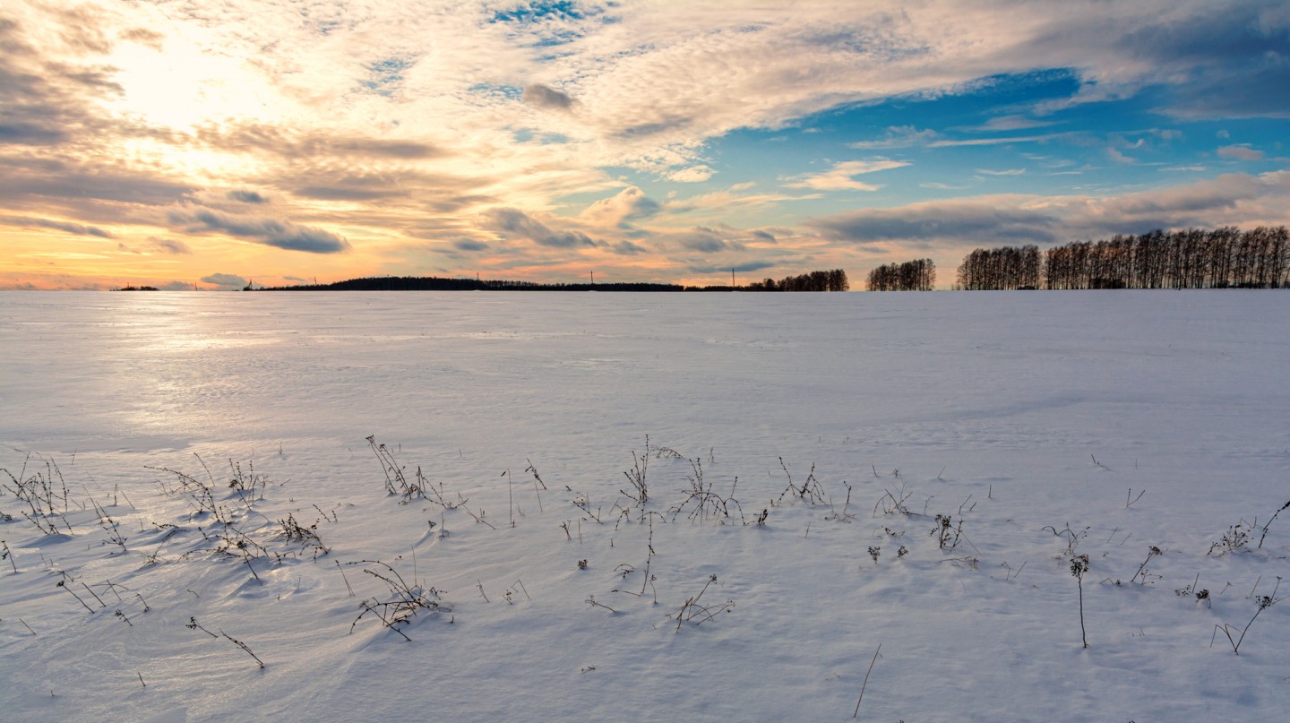 Фотография - зимнее поле, автор - Александр Д