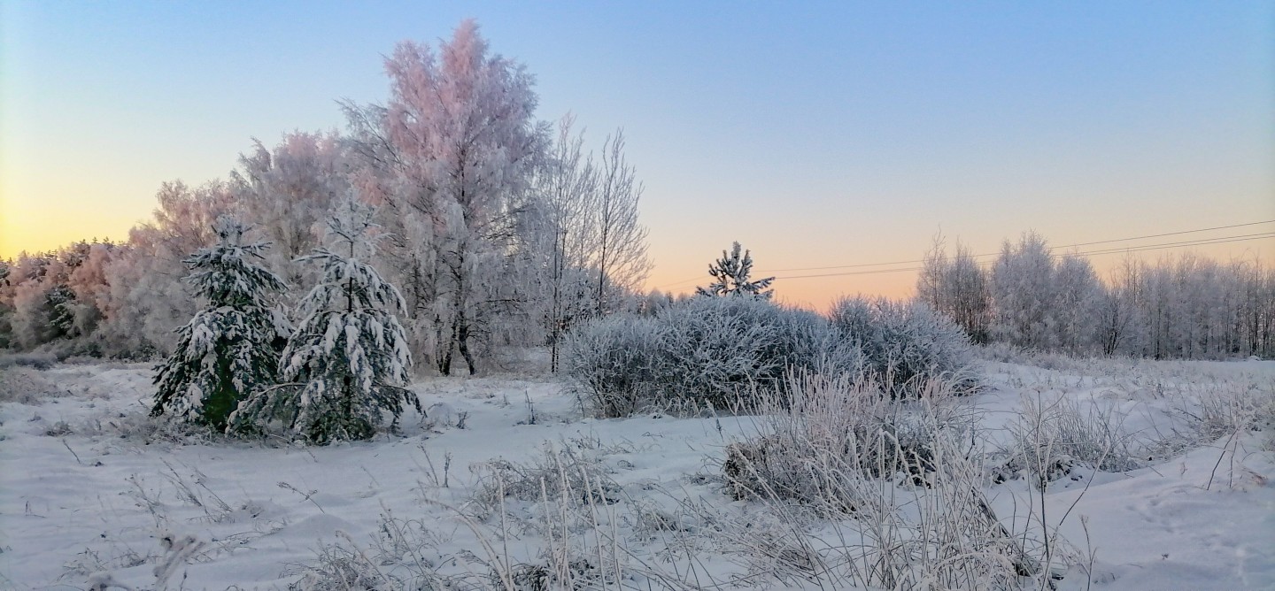 Фотография - морозное утро, автор - Александр Д