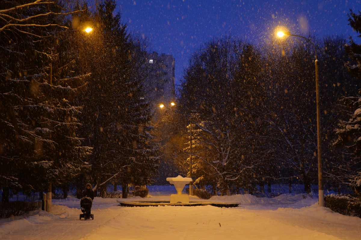 Фотография - Снег идет, автор - Артем Кашканов