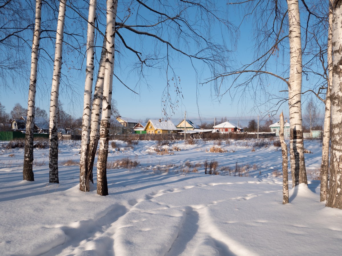Фотография - Зимний деревенский пейзаж, автор - Артем Кашканов