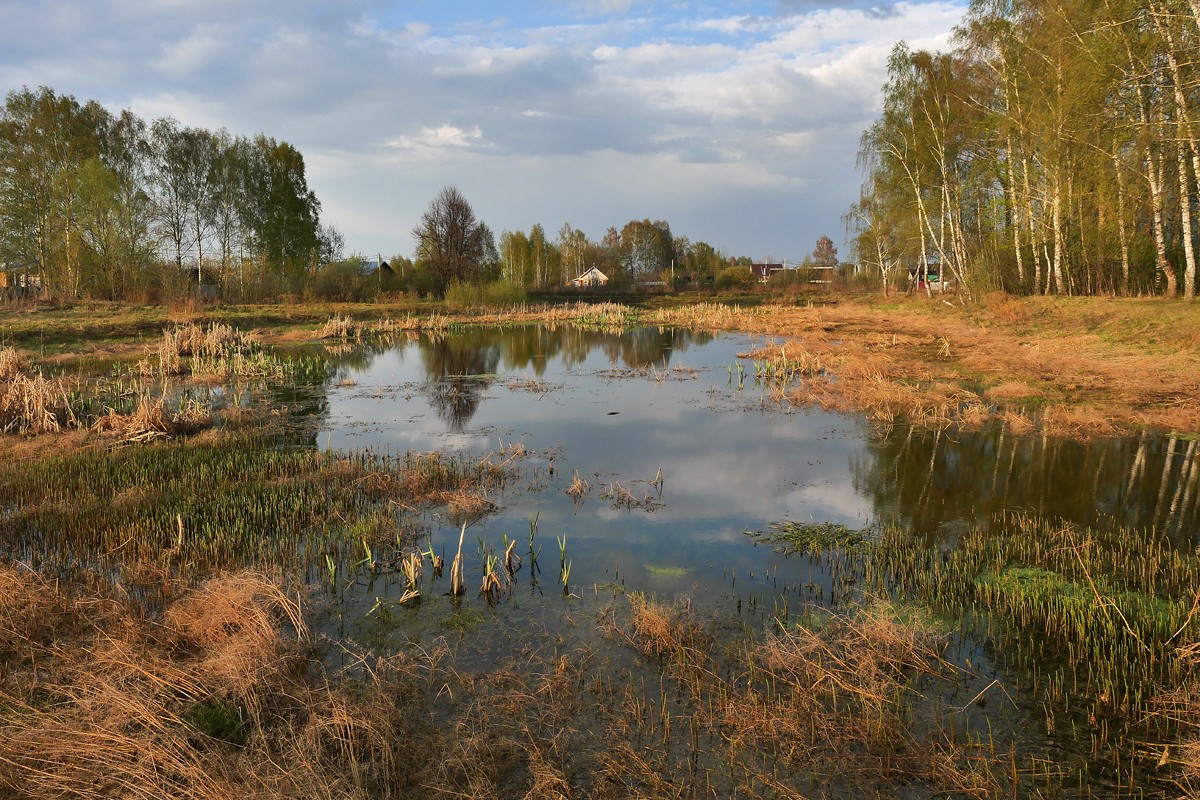 Фотография - Зарастающий пруд, автор - Артем Кашканов