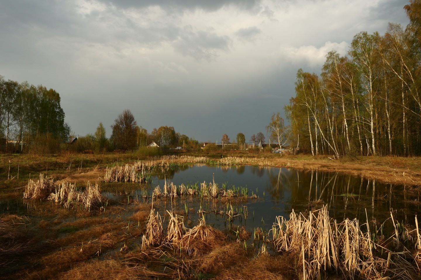Фотография - После майской грозы, автор - Артем Кашканов
