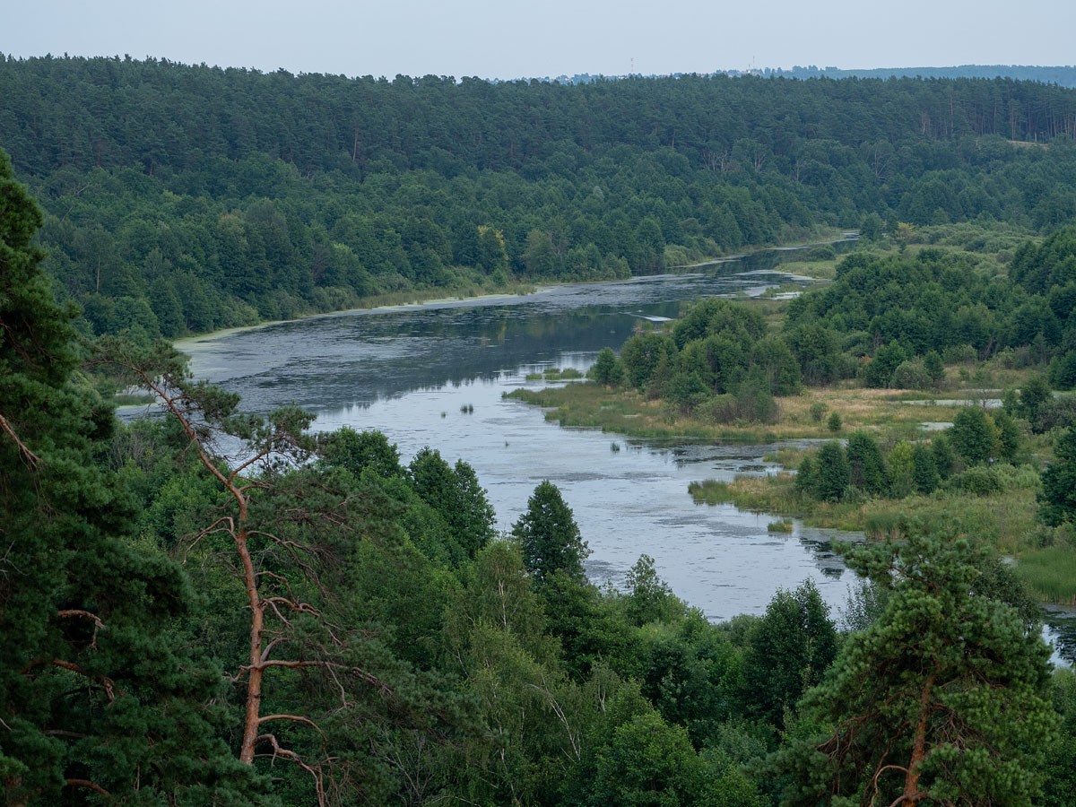 Фотография - Решетиха. Вид на реку Совец, автор - Артем Кашканов