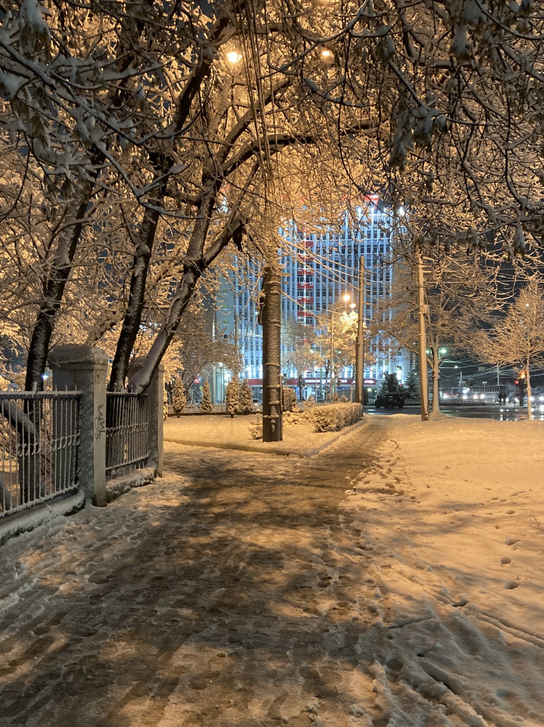 Фотография - Первый снег, автор - Артем Кашканов