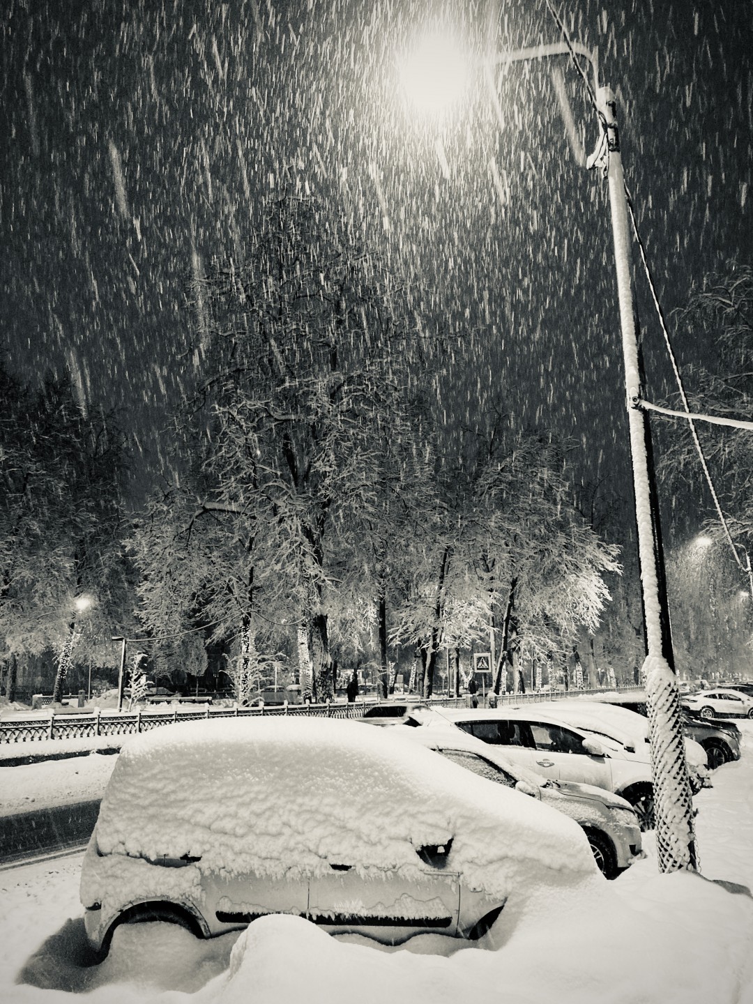 Фотография - Снегопад, автор - Артем Кашканов