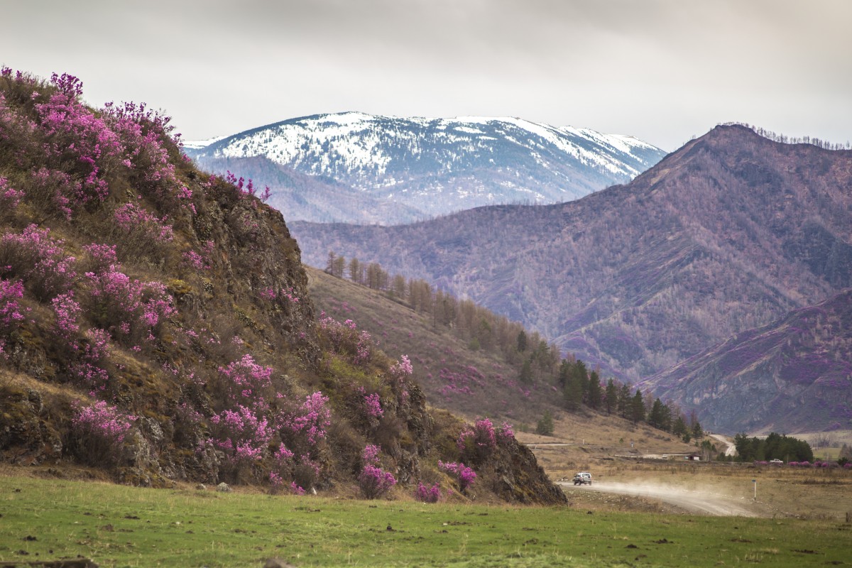 Фотография - Сиреневые горы, автор - Андрей Т