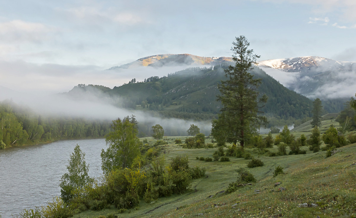 Фотография - Туманное утро в горах Алтая., автор - Наталья Гобова 